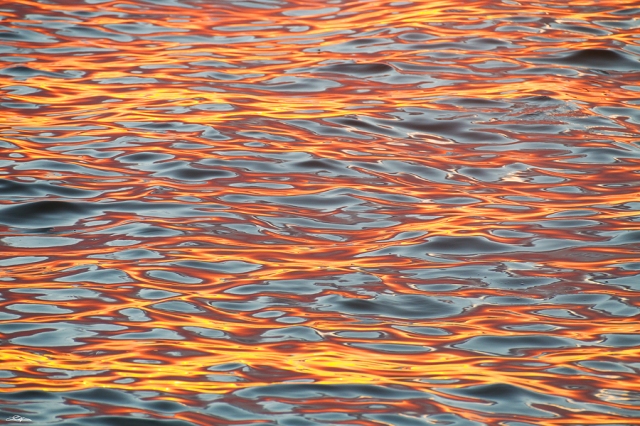 Water at sunset